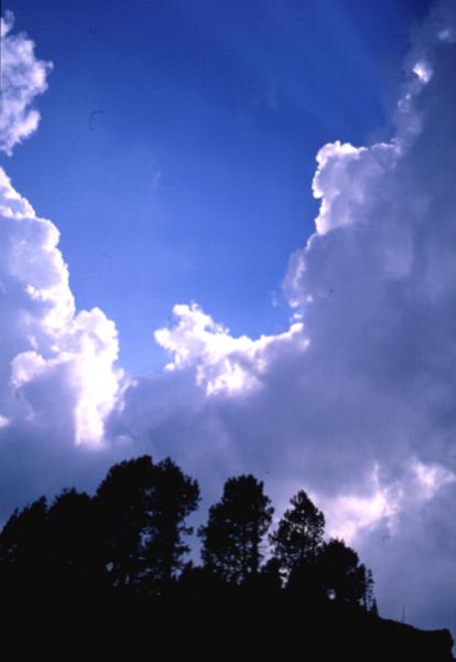 Sur le chemin spirituel